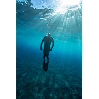 Peter Zuccarini - Age, Bio, Birthdate, Family, Networth & More