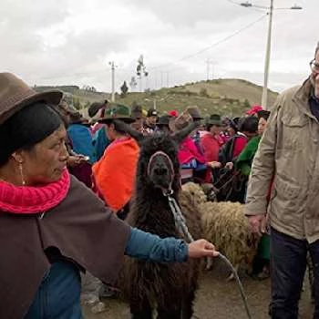 Philippe Gougler Biography