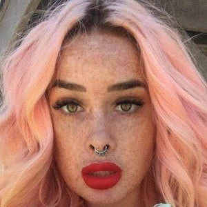 Pixlecat - Biography, Birthday, Family, Wki, Networth & More