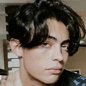 Nik Poire - Biography, Birthday, Family, Wki, Networth & More