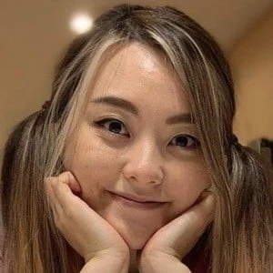 Potastic Panda Biography