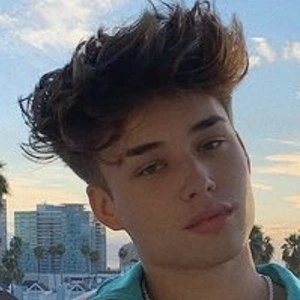 Brady Potter Biography