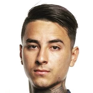 Erick Pulgar Biography