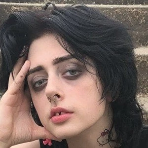 Punk_irl - Family, Bio, Birthday, Family, Income & More