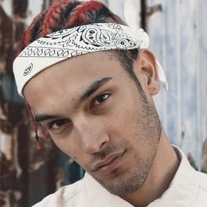 Rade - Birthdate, Age, Family, Bio, Networth & More