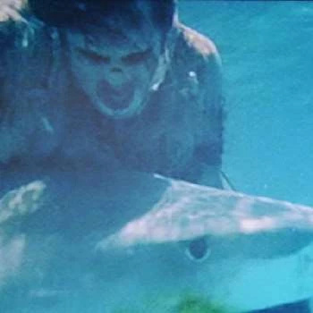 Ramón Bravo - Age, Height, Birthdate, Family, Wiki & More