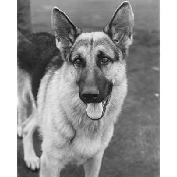 Rando - Age, Bio, Birthdate, Family, Networth & More