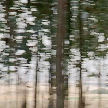 Rasselas Lakew - Age, Bio, Birthdate, Family, Networth & More