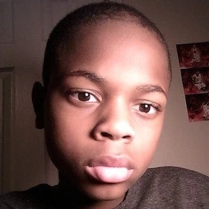 Kyle Reacts - Age, Wiki, Birthdate, Bio, Networth, Family & More