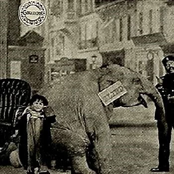 René Poyen - Age, Height, Birthdate, Bio, Family, Networth & More