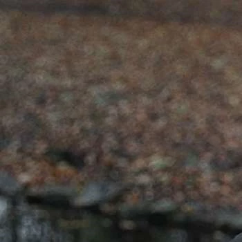 Ricardo Palma Salamanca - Age, Bio, Birthdate, Family, Networth & More