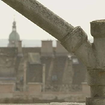 Richárd Herczeg - Age, Bio, Birthdate, Family, Networth & More