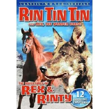Rin Tin Tin Jr. - Age, Bio, Birthdate, Family, Networth & More