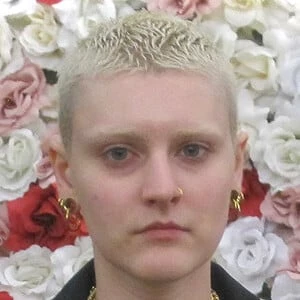 Rio Romeo - Age, Height, Birthdate, Bio, Family, Networth & More