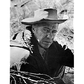 Robert Bray - Date Of Birth, Bio, Birthdate, Parents, Networth & More