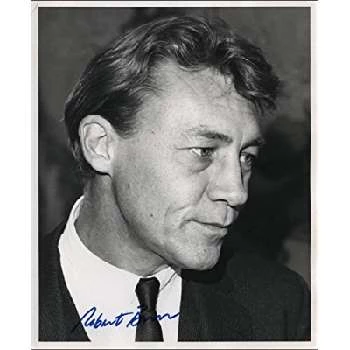 Robert Burr Biography