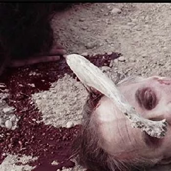 Robert Shampain - Age, Bio, Birthdate, Family, Networth & More