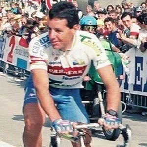 Stephen Roche - Biography, Birthday, Wiki, Family, Networth & More