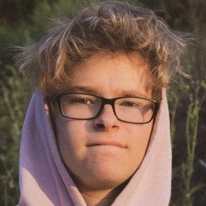 Joey Rogoff - Age, Bio, Career, Family, Wiki, Networth & More