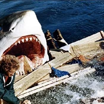 Romano Puppo - Bio, Networth, Family, Age, Birthdate & More