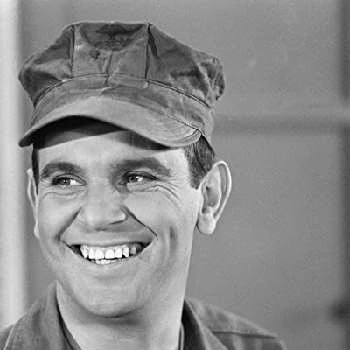Ronnie Schell Biography