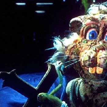 Ross Jolly - Age, Bio, Birthdate, Family, Networth & More