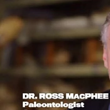 Ross MacPhee - Age, Bio, Birthdate, Family, Networth & More