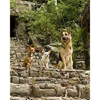 Rusco Biography