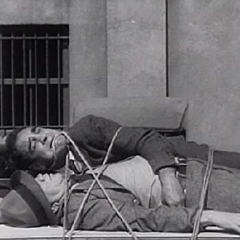 Russ Clark - Wiki, Family, Bio, Birthdate, Networth & More