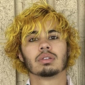 Auggie Ryan - Date Of Birth, Bio, Birthdate, Parents, Networth & More