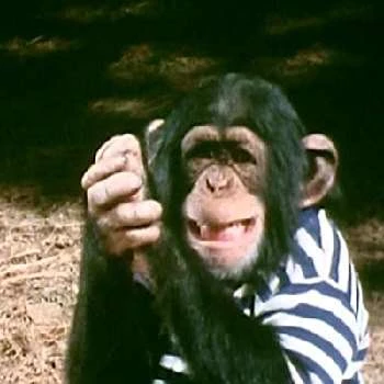 Sally - Age, Bio, Birthdate, Family, Networth & More