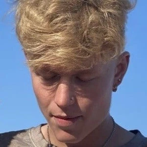 Tyler Sander - Wiki, Family, Bio, Birthdate, Networth & More