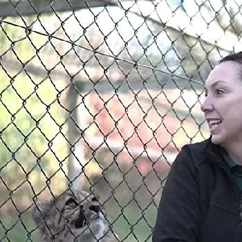 Sarah Forsyth - Age, Bio, Birthdate, Family, Networth & More