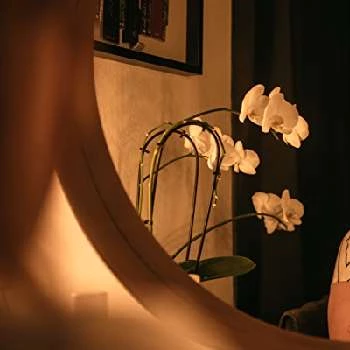 Sarah Grant - Age, Bio, Birthdate, Family, Networth & More