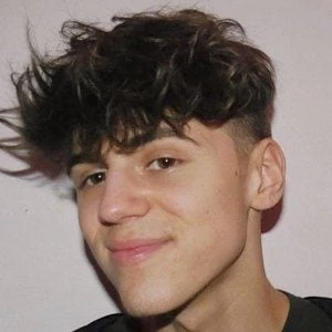 Matthew Scarfone - Income, Birthday, Family, Bio, Networth & More