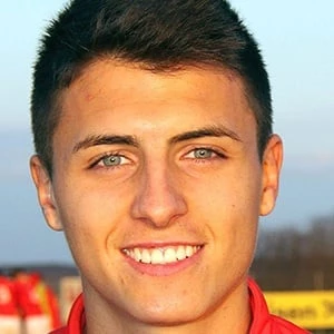 Alessandro Schöpf - Wiki, Family, Bio, Birthdate, Networth & More