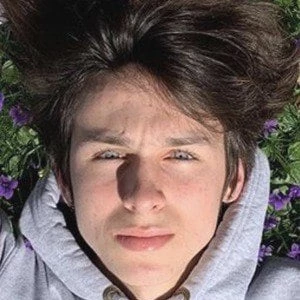 Brad Schemmel - Networth, Bio, Wiki, Family, Birthday, Networth & More