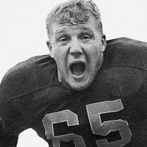 Joe Schmidt - Biography, Birthday, Family, Wki, Networth & More