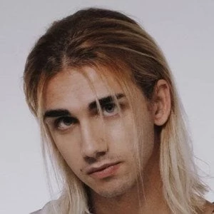 Henry Scorner - Age, Height, Birthdate, Family, Wiki & More