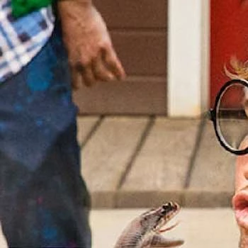 Sean McInerney - Age, Height, Birthdate, Family, Wiki & More