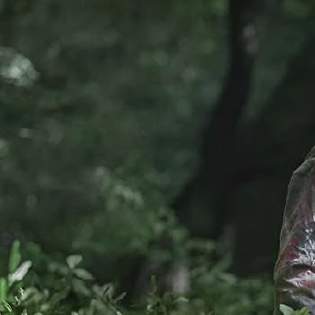 Seo-hyun Ahn - Wiki, Bio, Birthdate, Networth, Family & More