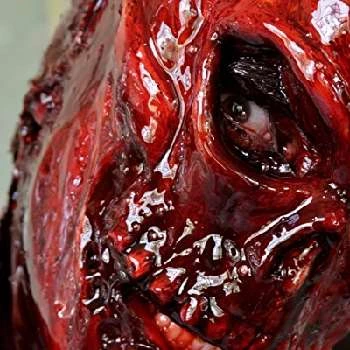 Shane Beasley - Age, Bio, Birthdate, Family, Networth & More