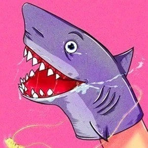 Shark Puppet Biography