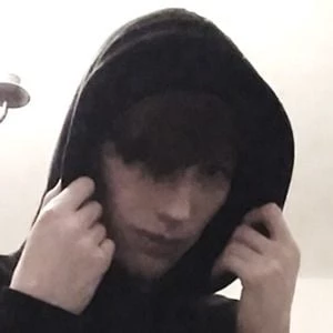 Sharkblox Biography