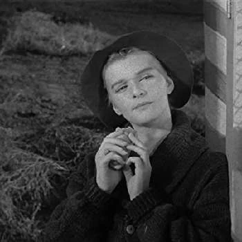 Shaye Cogan - Networth, Bio, Birthdate, Age, Family & More