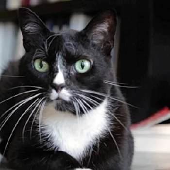 She-Ra Sweeney - Age, Bio, Birthdate, Family, Networth & More