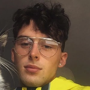 Alex Sheehan - Age, Bio, Birthdate, Family, Networth & More