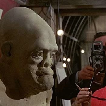 Sheila Steafel - Age, Bio, Birthdate, Family, Networth & More