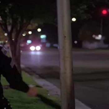 Sheila Tousey - Family, Bio, Birthday, Family, Income & More