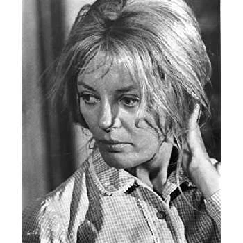 Sheree North - Income, Birthday, Family, Bio, Networth & More